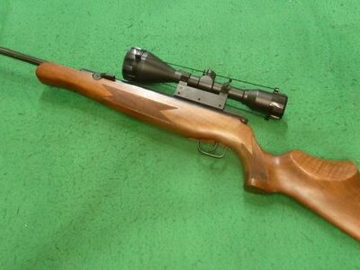 Air Arms Camargue .22
