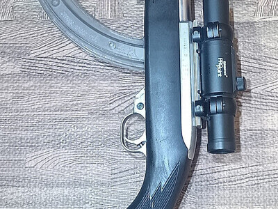 Ruger 10/22 Semi-Auto .22 Long Rifle (.22 LR) Rifle