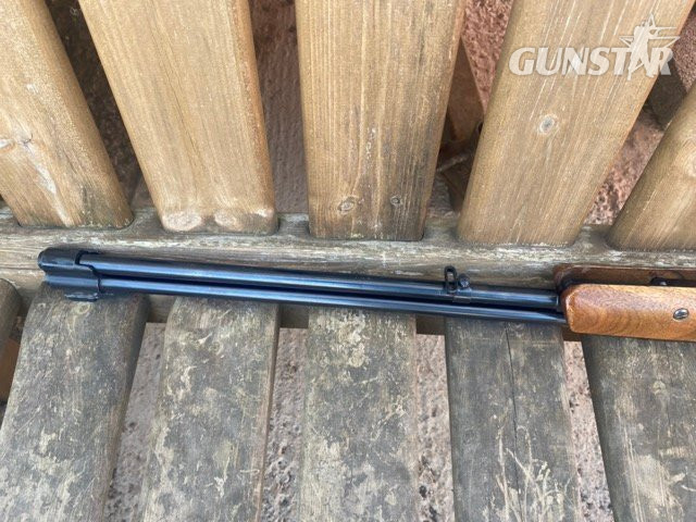 HW77 Custom .22 .22 - {CATEGORY} in 