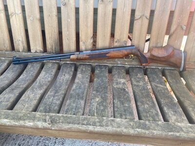 HW77 Custom .22 .22