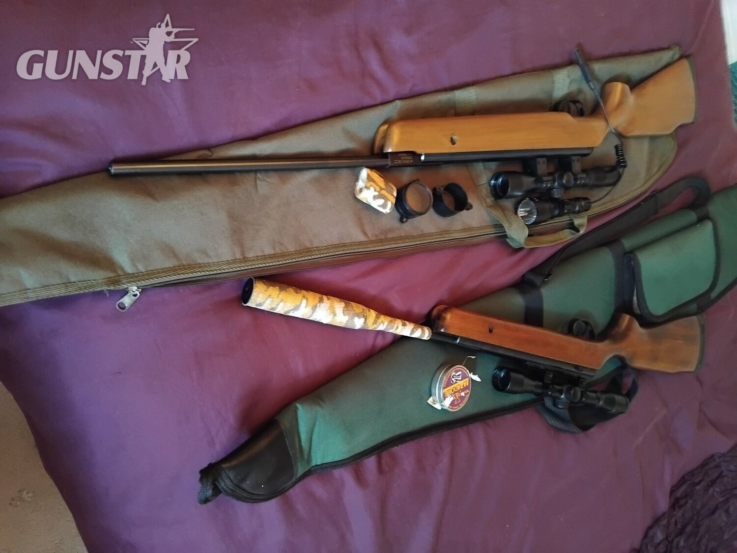 Bsa 22 22 .22 in 