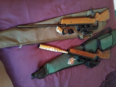 Bsa 22 22 .22