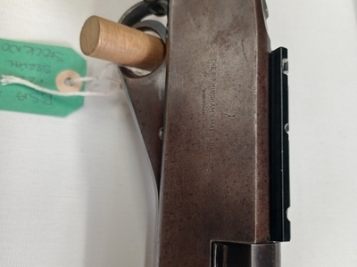 BSA raylock Semi-Auto .22LR Rifle