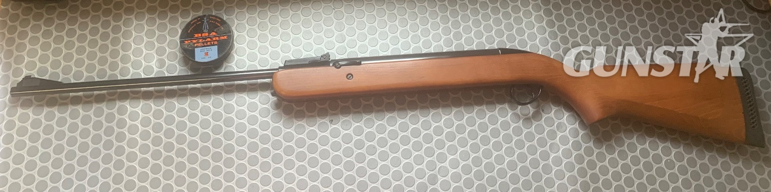 BSA Airsporter MK6 .22 in 