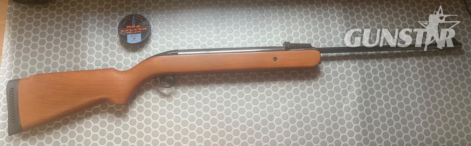 BSA Airsporter MK6 .22