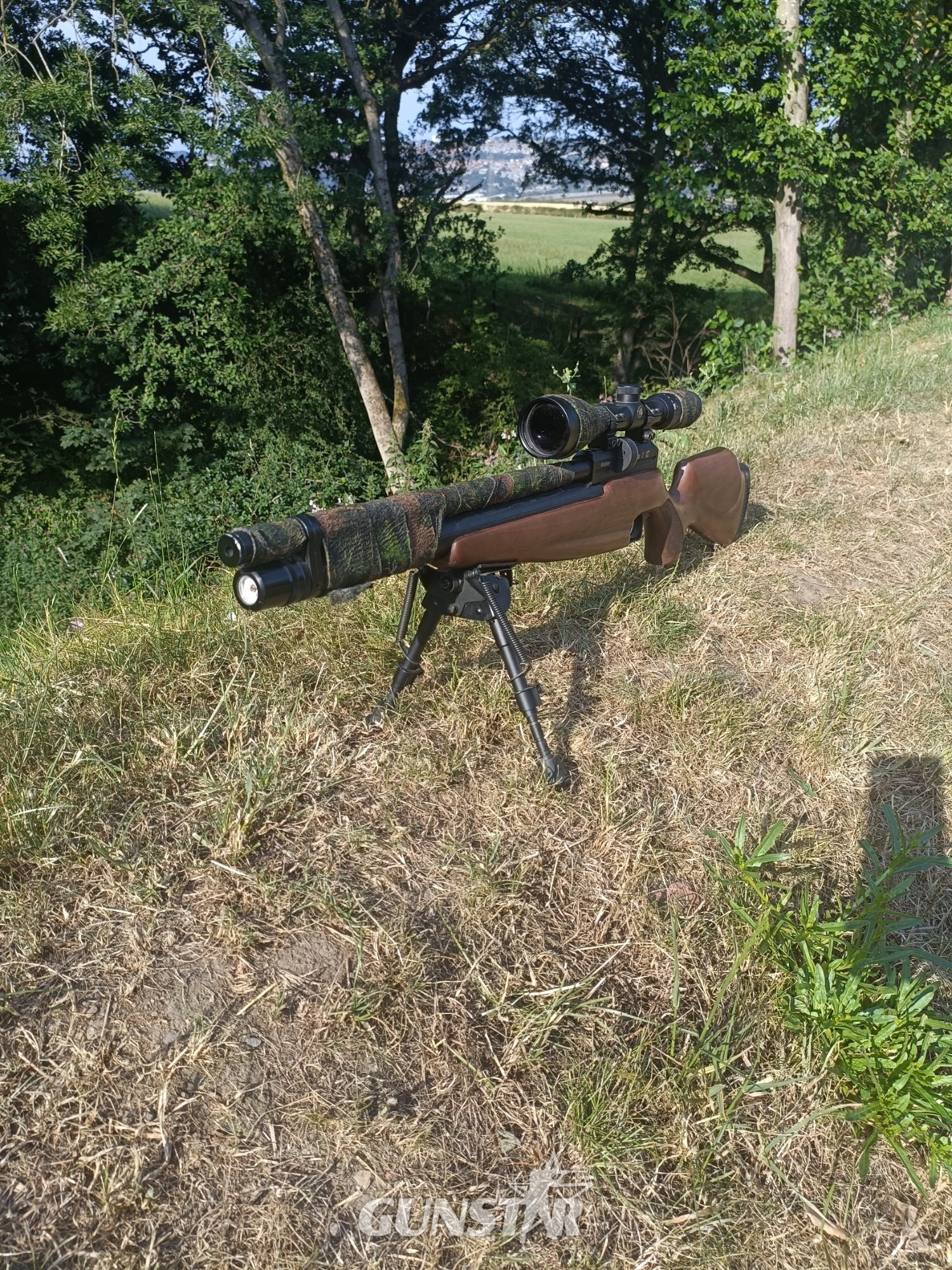 Webley / Webley & Scott Raider 12 .177 in 