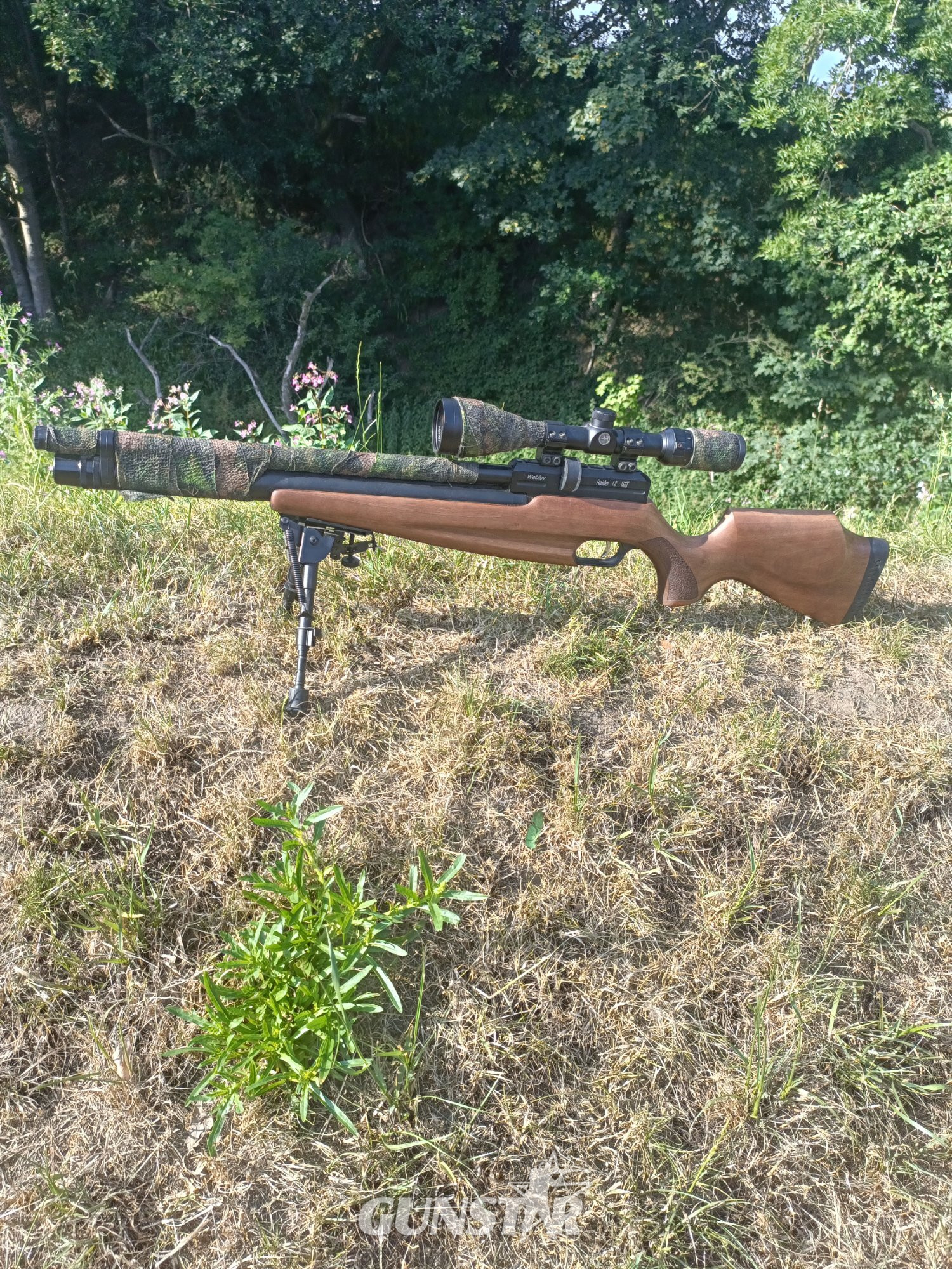 Webley / Webley & Scott Raider 12 .177