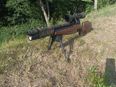 Webley / Webley & Scott Raider 12 .177