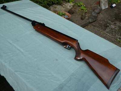 Weihrauch HW80 .177