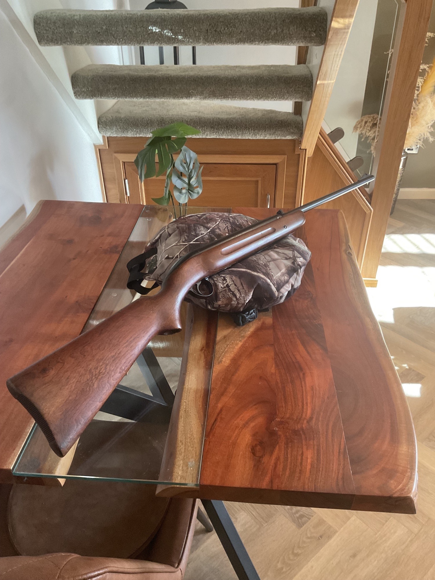  BSA Airsporter M1  .22