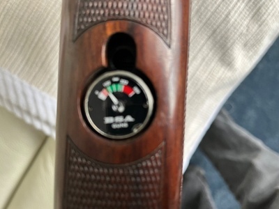 BSA R10 .177