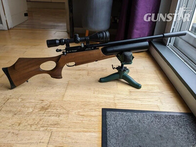 Daystate Air Ranger .22