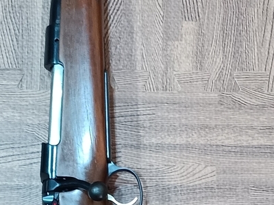 CZ 550 - Scandinavia Bolt Action .243 Rifle