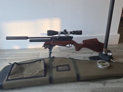 BSA Ultra .22