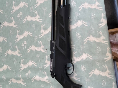 BSA R12 SE .22