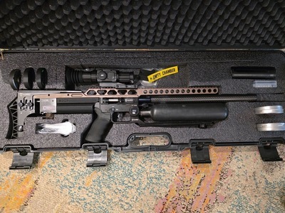 FX Airguns Impact .25