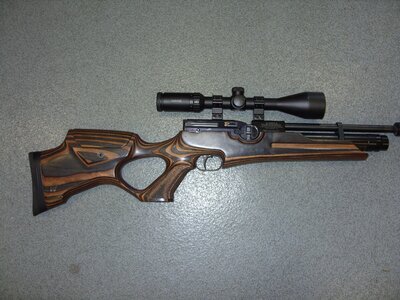 Weihrauch HW 100 .22