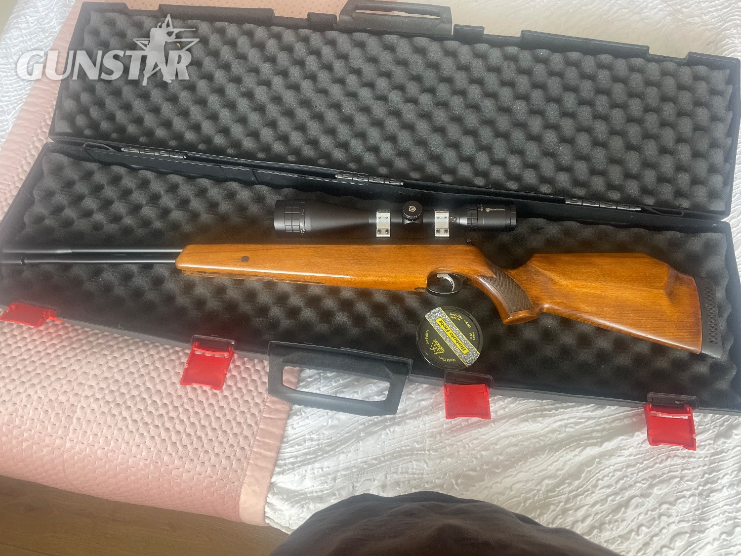 Air Arms TX200 .22 in 