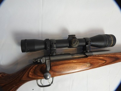 Ruger M77 Bolt Action .17 Hornady Magnum Rimfire (.17 HMR) Rifle