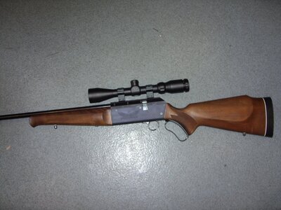 Parker-Hale Pheonix .22