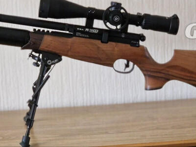BSA R10 SE Super Carbine Walnut .22