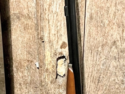 Pedersoli Muzzleloading shotgun Side By Side 12 Bore/gauge