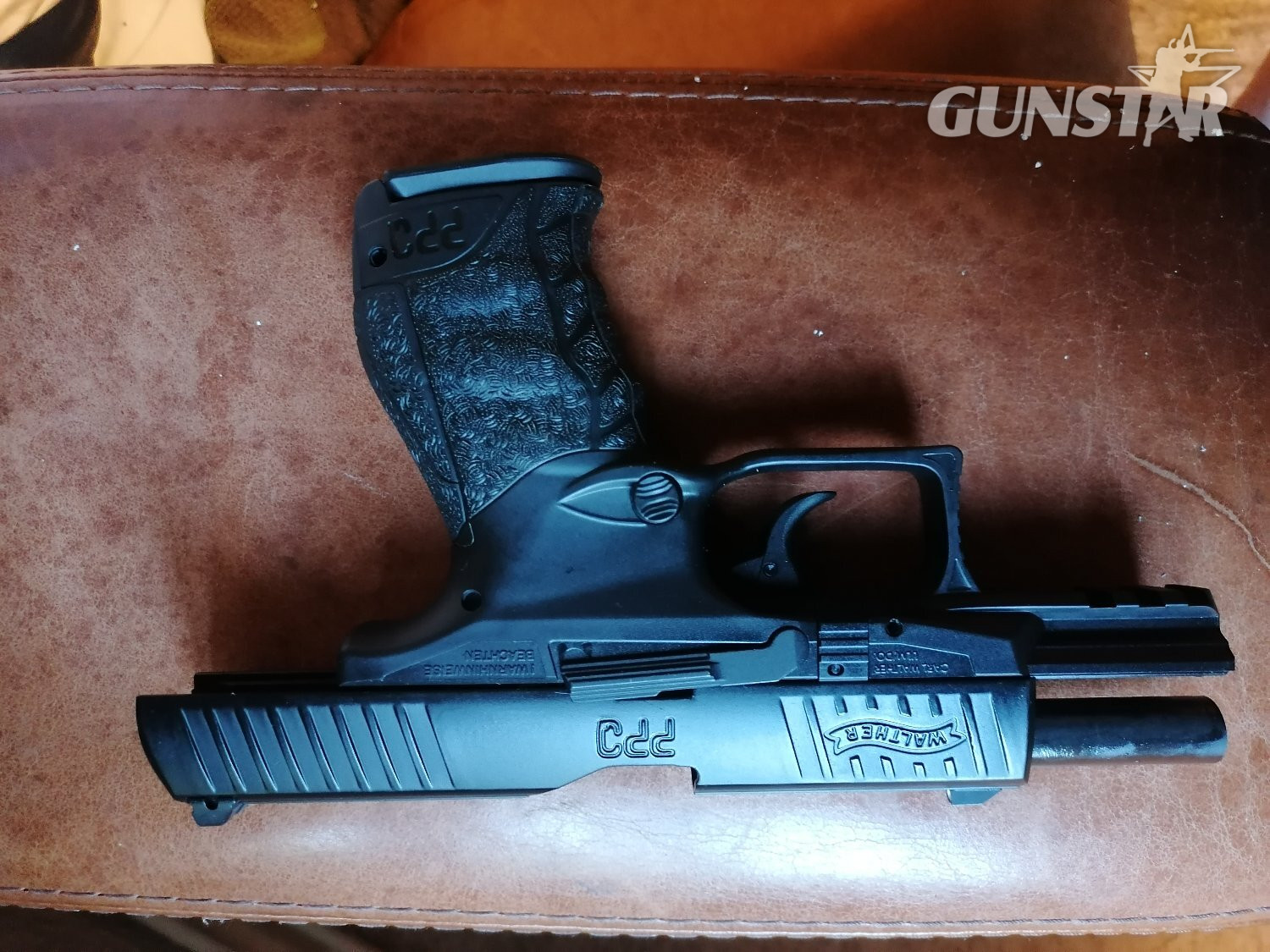  VFC PPQ BB