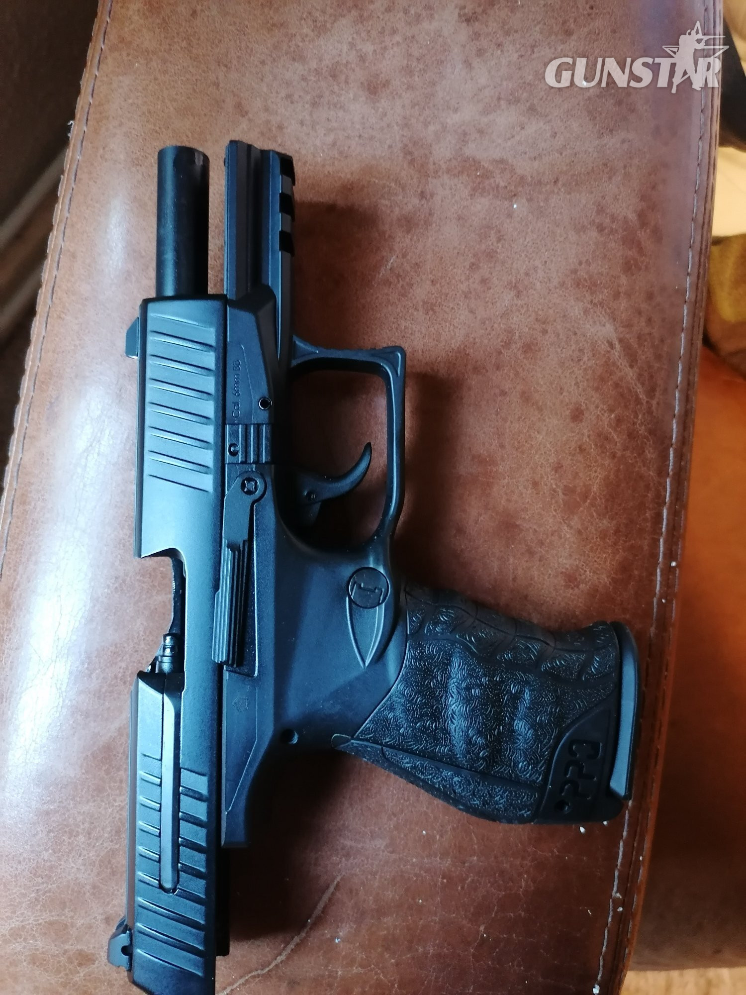 VFC PPQ BB - {CATEGORY} in 