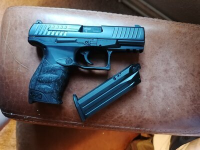 VFC PPQ BB