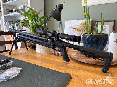 Epic Airguns (Spain) Vision .22