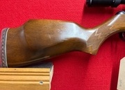 Webley & Scott Stingray 2 .22