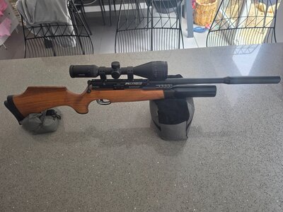 BSA R10 SE .22