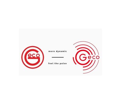  Geco GECO 105G SP .243 Box’s of 50  Cartridges