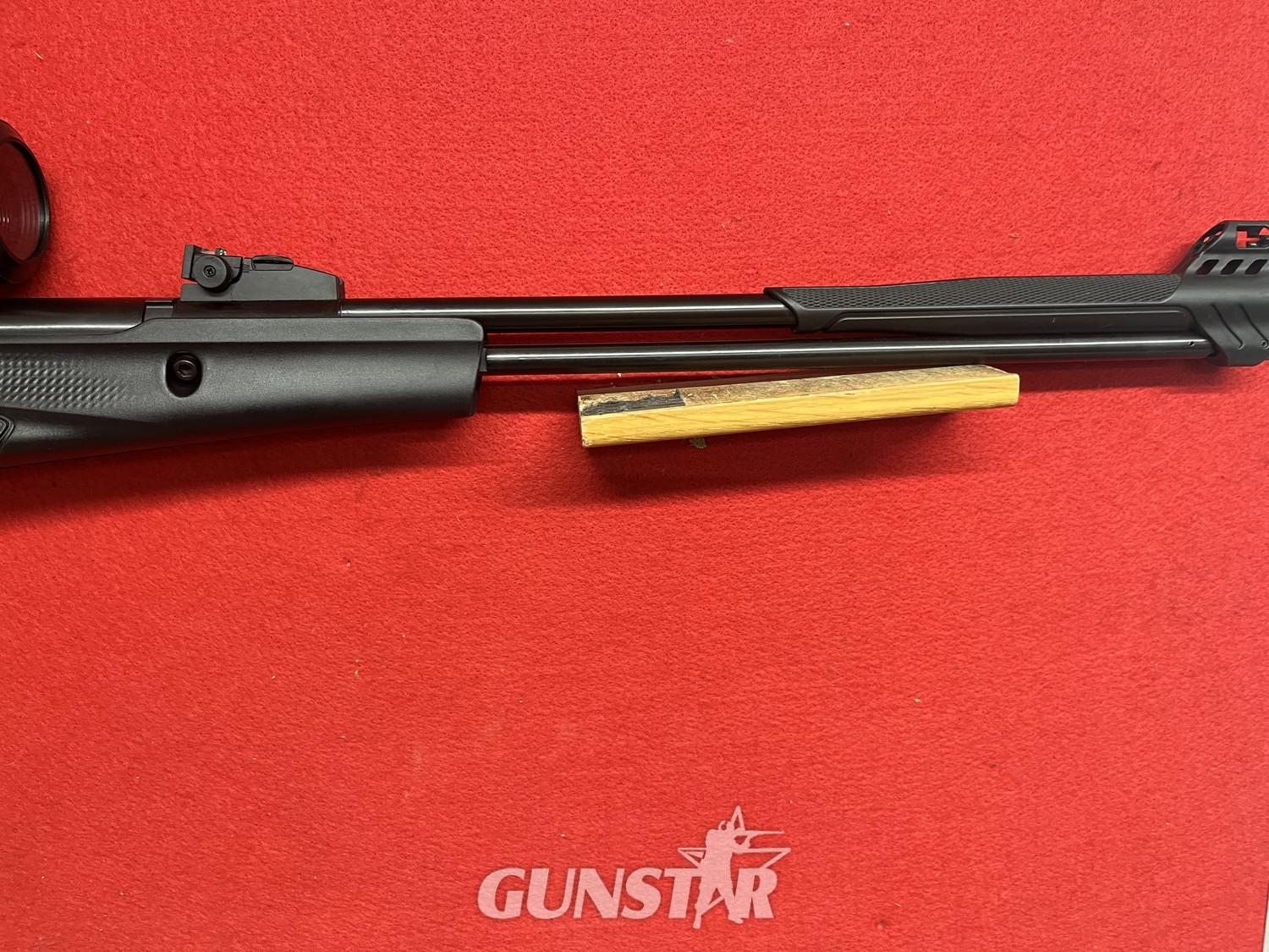  Stoeger RX40 .22