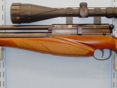 BSA Scorpion SE Multishot .22