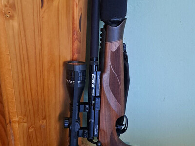 BSA R10 SE .22
