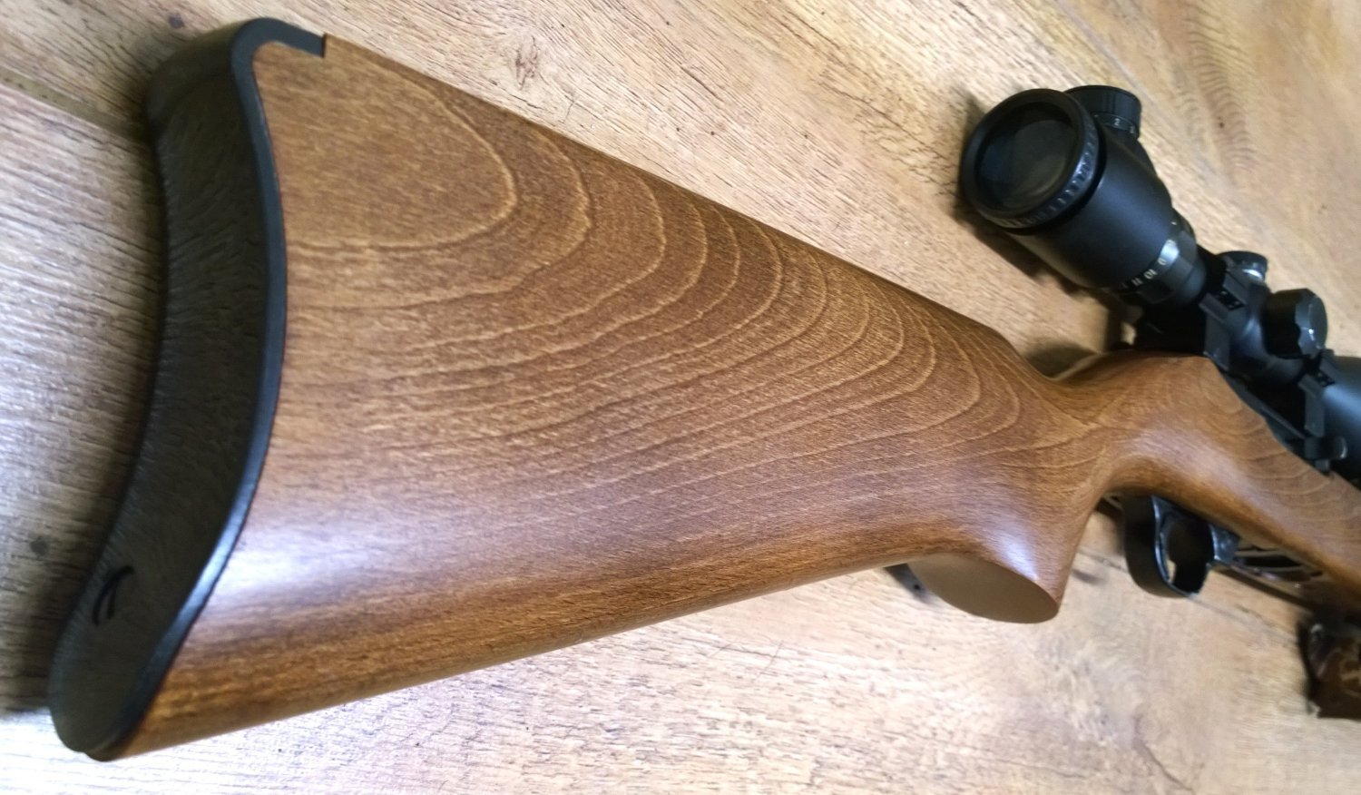 Ruger 10/22 Semi-Auto .22 Long Rifle (.22 LR) Rifle - {CATEGORY} in 