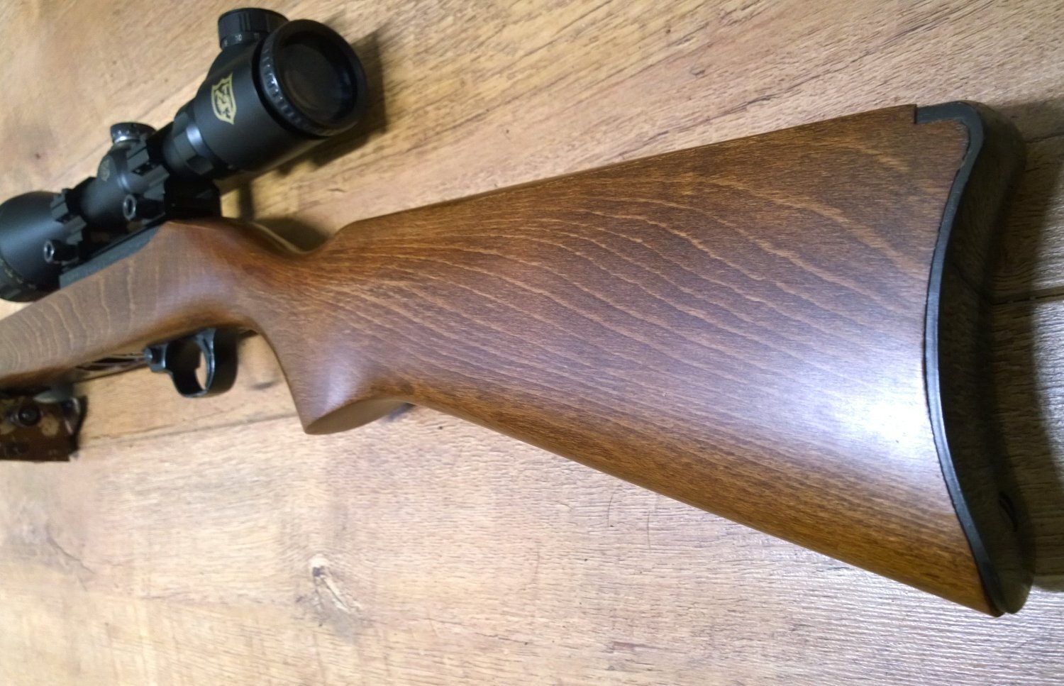 Ruger 10/22 Semi-Auto .22 Long Rifle (.22 LR) Rifle