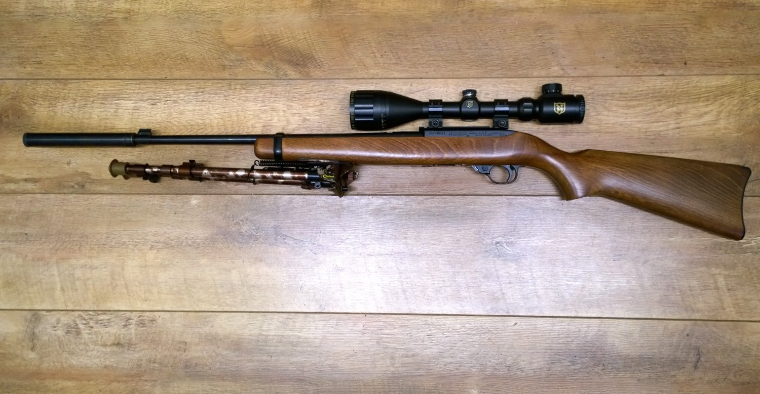 Ruger 10/22 Semi-Auto .22 Long Rifle (.22 LR) Rifle - {CATEGORY}