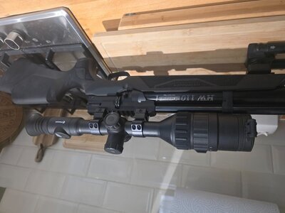 Sight & Optic