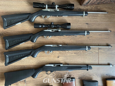 Ruger 10/22 Semi-Auto .22 LR Rifle