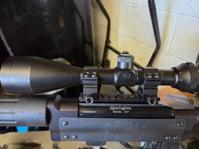 Remington 597 Semi-Auto .22 Long Rifle (.22 LR) Rifle