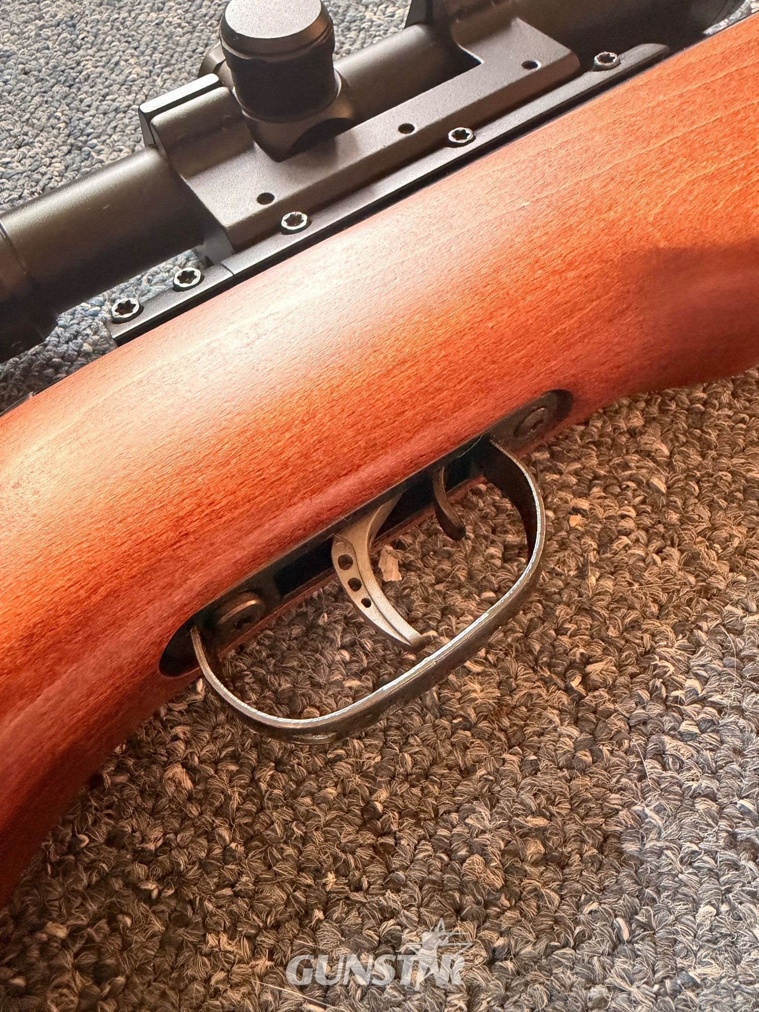  Gamo Maxxim Elite Swarm .177
