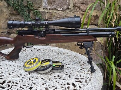 Weihrauch HW100 .22