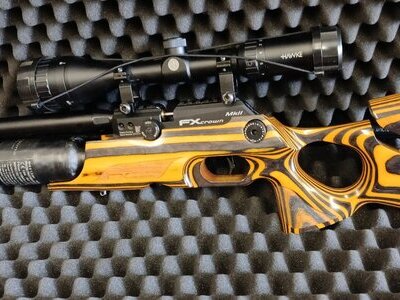 FX Airguns Crown mk2 compact laminated .22