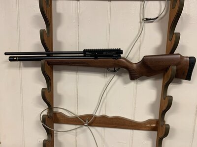 BSA Buccaneer Pro Beech .22