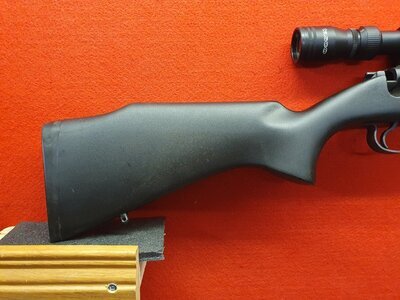 CZ 452-2E Bolt Action .22 RF Rifle