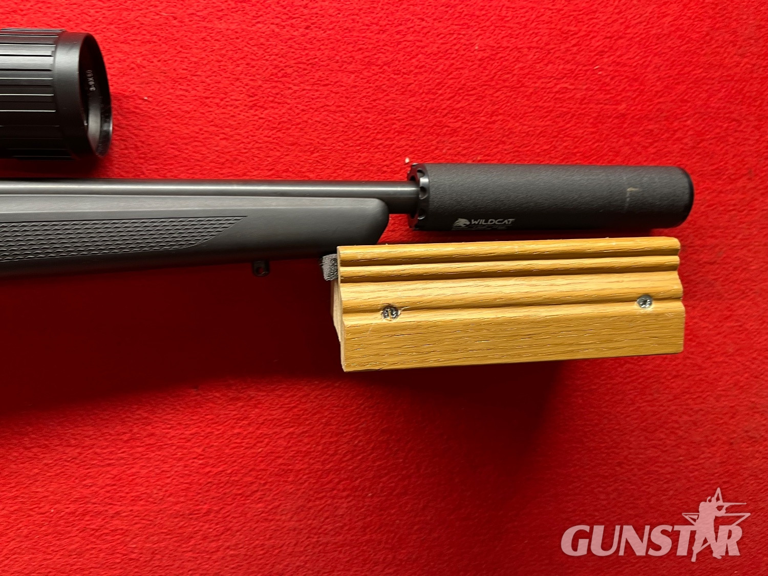  Tikka T1x .17