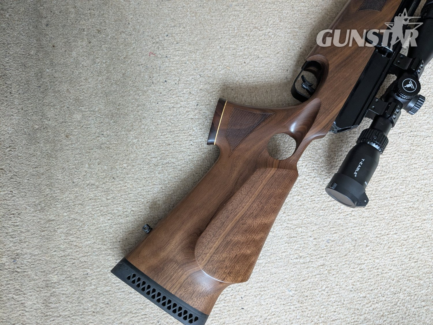 BSA SUPER TEN .22 BSA SUPER TEN .22 - {CATEGORY}