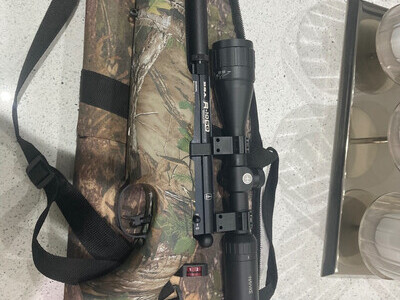 BSA Bsa r10 se regulated .22